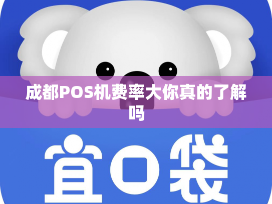 成都POS机费率大你真的了解吗