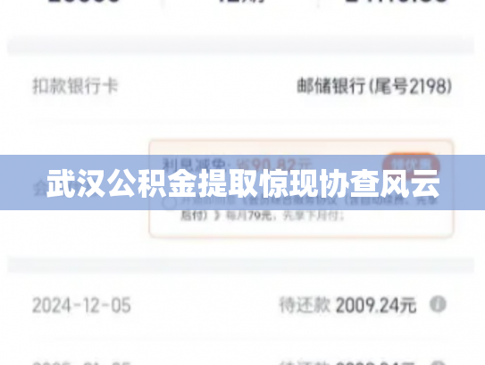 武汉公积金提取惊现协查风云