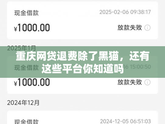 重庆网贷退费除了黑猫，还有这些平台你知道吗