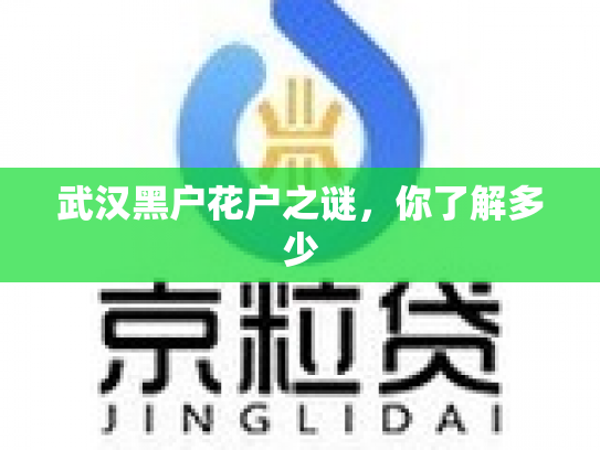 武汉黑户花户之谜，你了解多少