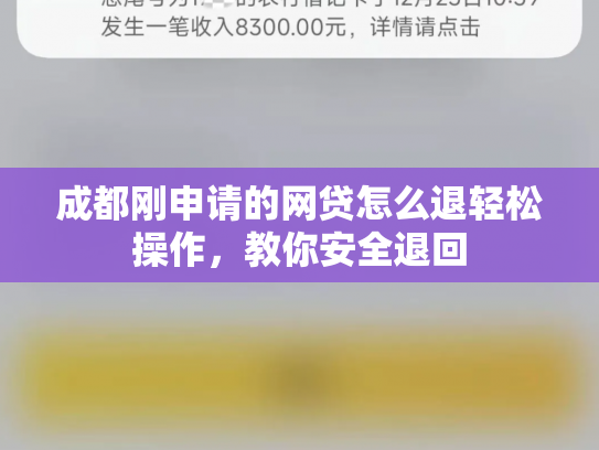成都刚申请的网贷怎么退轻松操作，教你安全退回