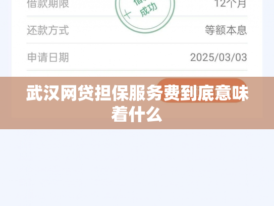 武汉网贷担保服务费到底意味着什么