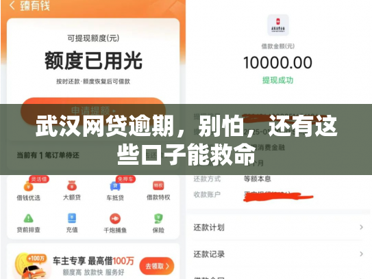 武汉网贷逾期，别怕，还有这些口子能救命