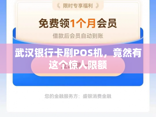 武汉银行卡刷POS机，竟然有这个惊人限额