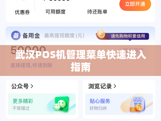 武汉POS机管理菜单快速进入指南