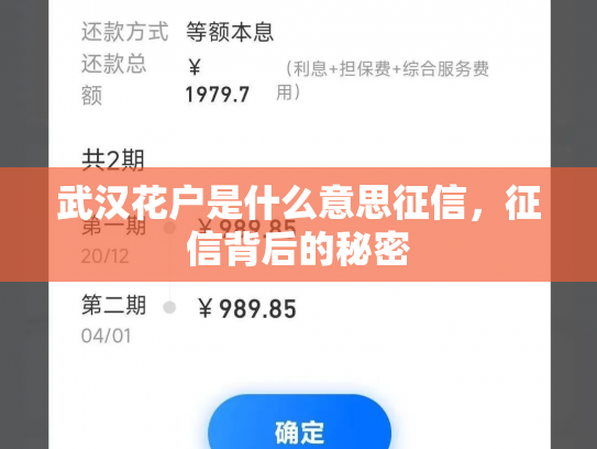 武汉花户是什么意思征信，征信背后的秘密