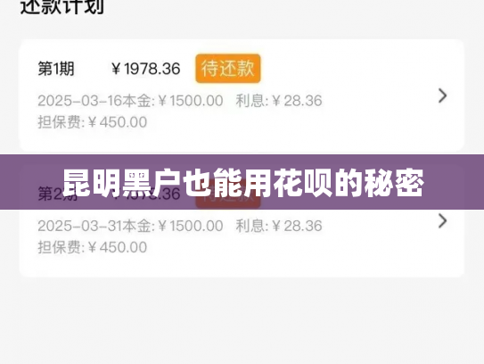 昆明黑户也能用花呗的秘密