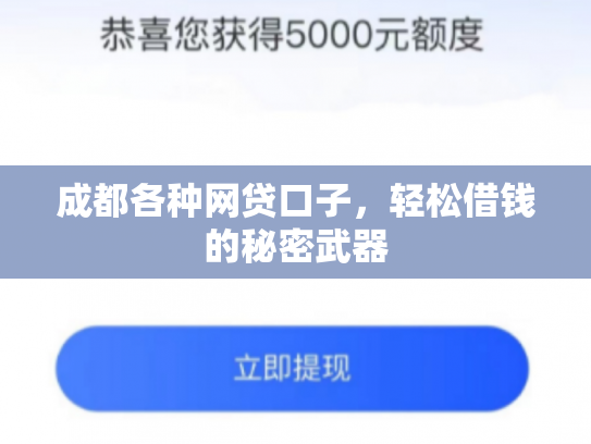 成都各种网贷口子，轻松借钱的秘密武器