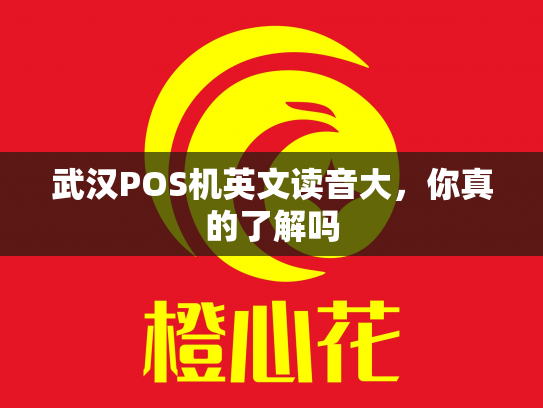 武汉POS机英文读音大，你真的了解吗
