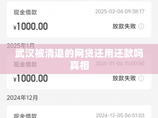 武汉被清退的网贷还用还款吗真相