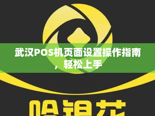 武汉POS机页面设置操作指南，轻松上手
