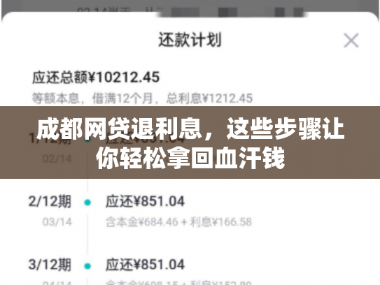 成都网贷退利息，这些步骤让你轻松拿回血汗钱