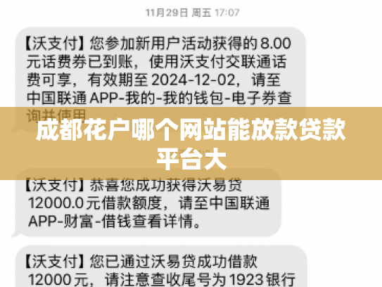 成都花户哪个网站能放款贷款平台大