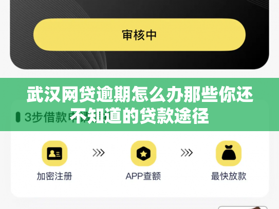 武汉网贷逾期怎么办那些你还不知道的贷款途径