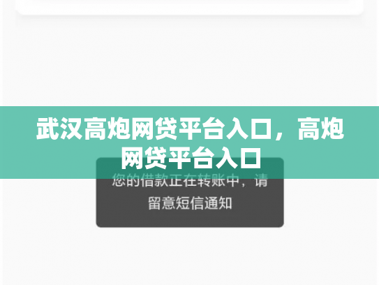 武汉高炮网贷平台入口，高炮网贷平台入口
