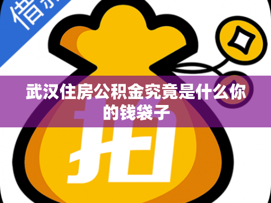 武汉住房公积金究竟是什么你的钱袋子