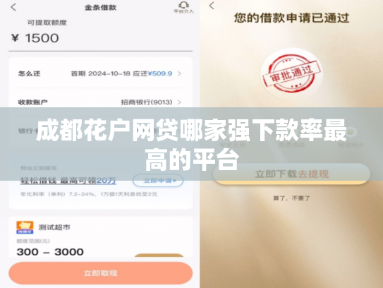 成都花户网贷哪家强下款率最高的平台