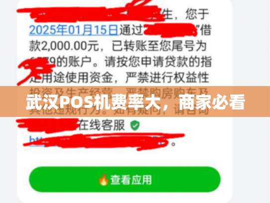 武汉POS机费率大，商家必看
