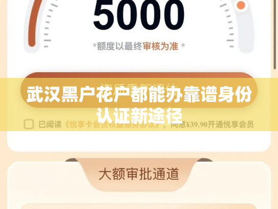 武汉黑户花户都能办靠谱身份认证新途径