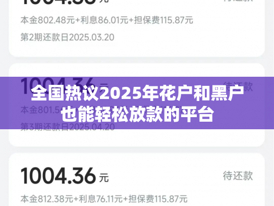 全国热议2025年花户和黑户也能轻松放款的平台