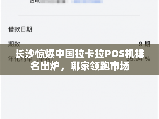 长沙惊爆中国拉卡拉POS机排名出炉，哪家领跑市场