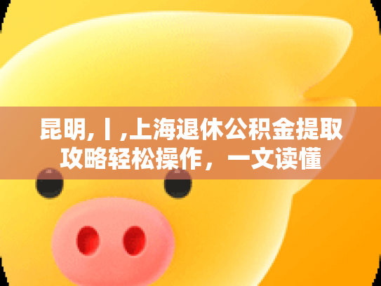 昆明,丨,上海退休公积金提取攻略轻松操作，一文读懂
