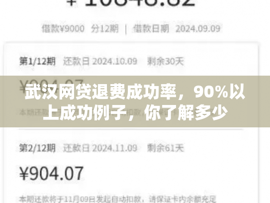 武汉网贷退费成功率，90%以上成功例子，你了解多少