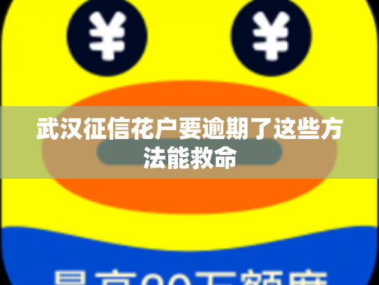 武汉征信花户要逾期了这些方法能救命