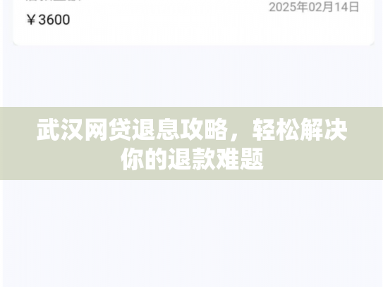 武汉网贷退息攻略，轻松解决你的退款难题
