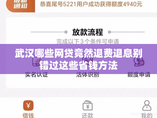 武汉哪些网贷竟然退费退息别错过这些省钱方法