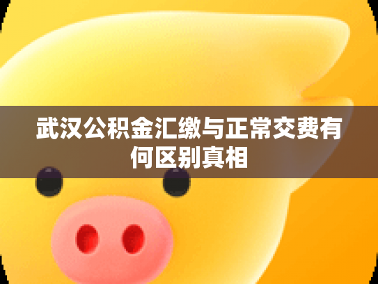 武汉公积金汇缴与正常交费有何区别真相