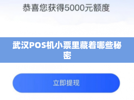 武汉POS机小票里藏着哪些秘密