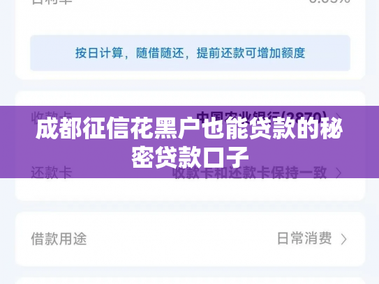 成都征信花黑户也能贷款的秘密贷款口子