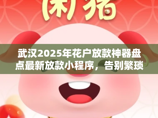武汉2025年花户放款神器盘点最新放款小程序，告别繁琐贷款流程