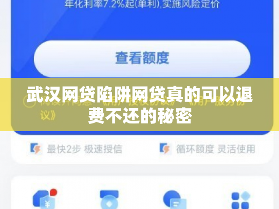 武汉网贷陷阱网贷真的可以退费不还的秘密