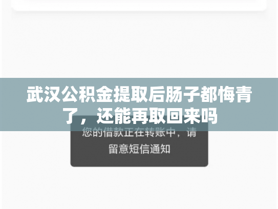 武汉公积金提取后肠子都悔青了，还能再取回来吗