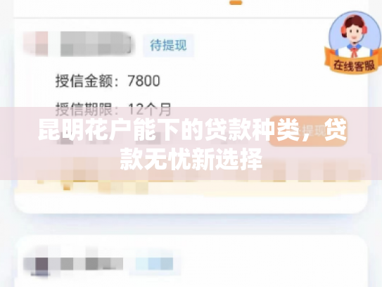昆明花户能下的贷款种类，贷款无忧新选择