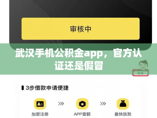 武汉手机公积金app，官方认证还是假冒