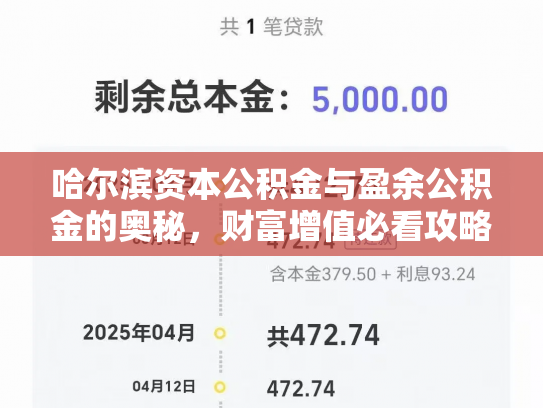 哈尔滨资本公积金与盈余公积金的奥秘，财富增值必看攻略