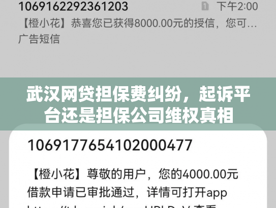 武汉网贷担保费纠纷，起诉平台还是担保公司维权真相