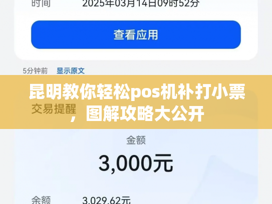 昆明教你轻松pos机补打小票，图解攻略大公开