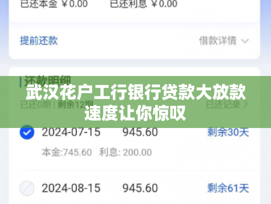 武汉花户工行银行贷款大放款速度让你惊叹
