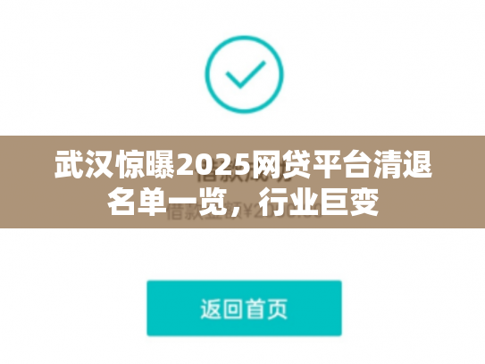 武汉惊曝2025网贷平台清退名单一览，行业巨变