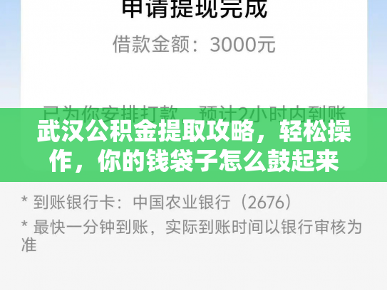武汉公积金提取攻略，轻松操作，你的钱袋子怎么鼓起来