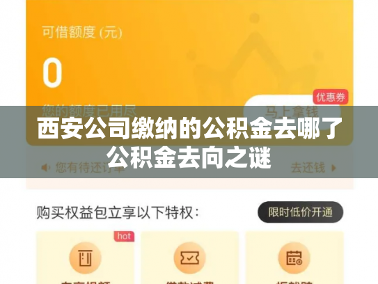 西安公司缴纳的公积金去哪了公积金去向之谜