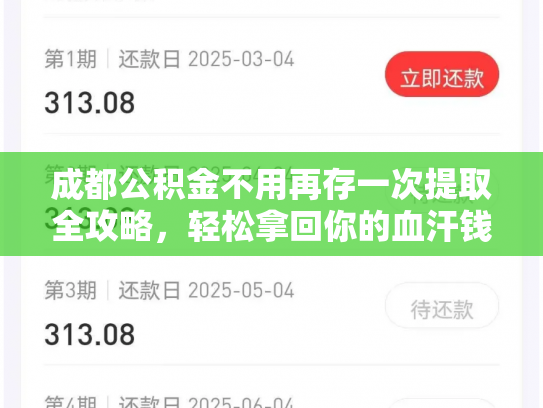 成都公积金不用再存一次提取全攻略，轻松拿回你的血汗钱
