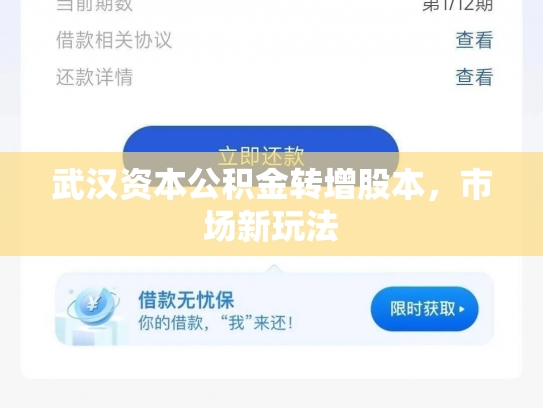 武汉资本公积金转增股本，市场新玩法