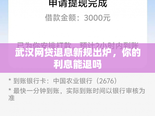 武汉网贷退息新规出炉，你的利息能退吗