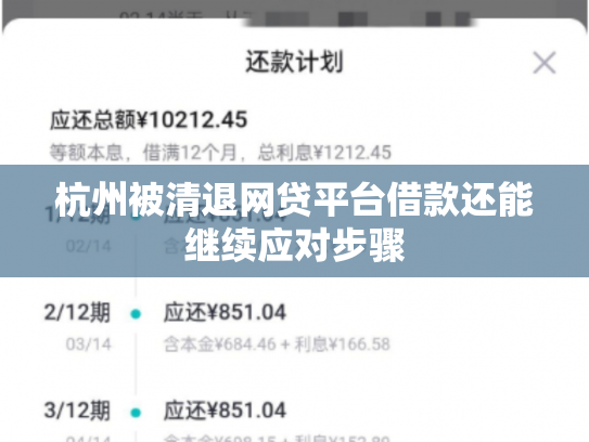 杭州被清退网贷平台借款还能继续应对步骤