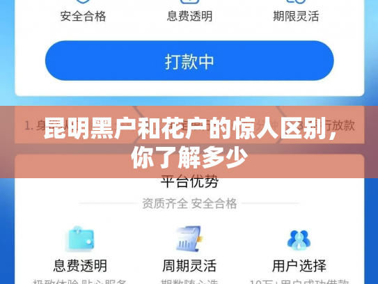 昆明黑户和花户的惊人区别，你了解多少